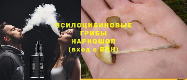скорость Алзамай